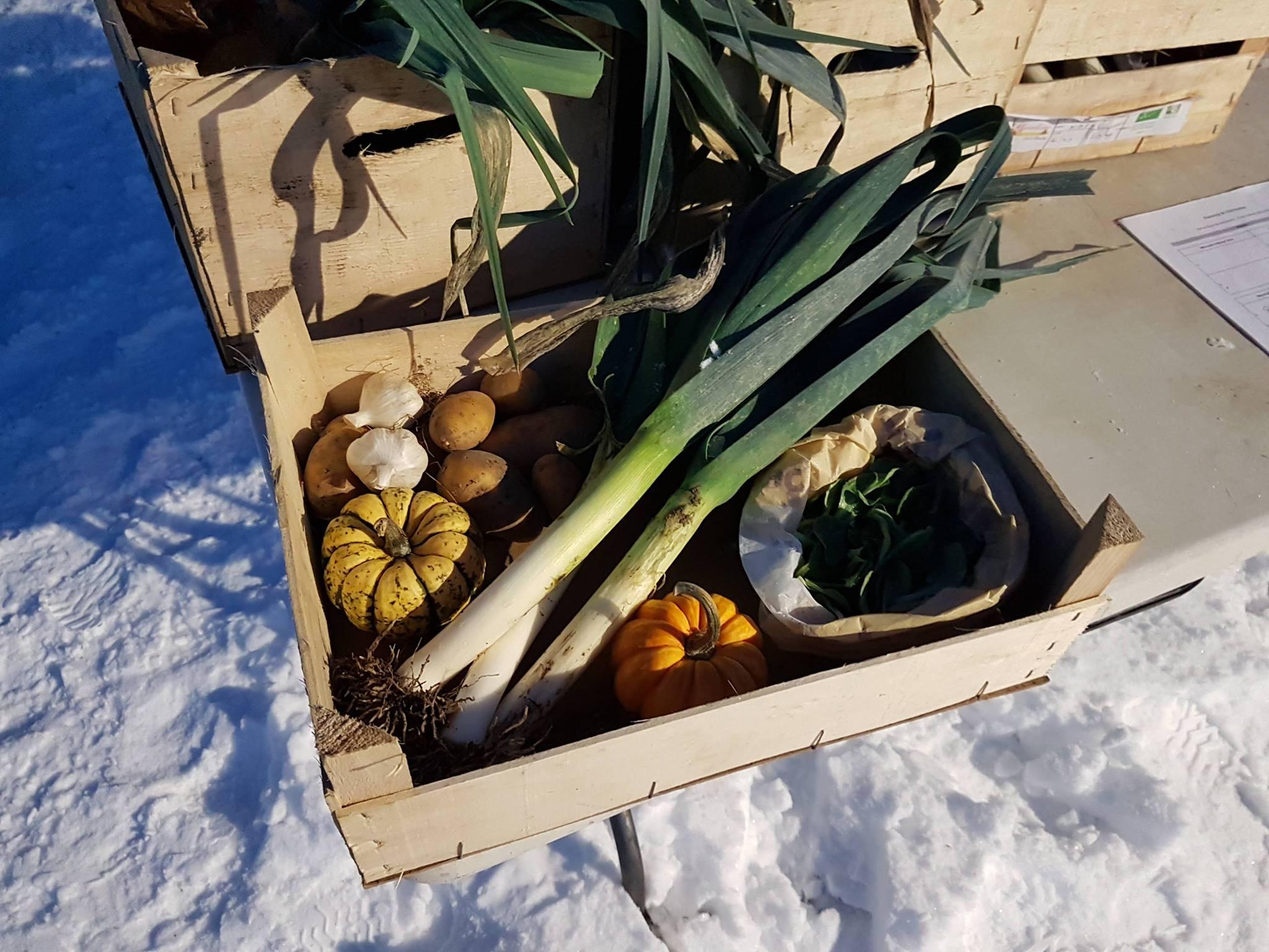 AMAP Les Amis de Gaïa (association pour le maintien de l’agriculture