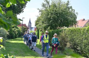 galerie-Marche dynamique - Printemps des séniors