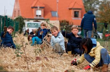 galerie-Plantation d'arbres sur le terrain des Lazaristes