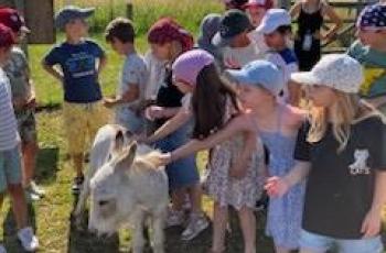 galerie-Animation Écopâturage proposée par Ecozoone aux élèves de CE2 de l’école Maxence Van Der Meersch