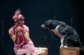 galerie-Spectacle Poil de la bête